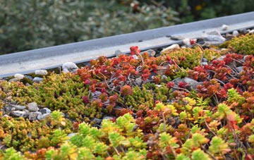the cost of Fishtoft green roof installation