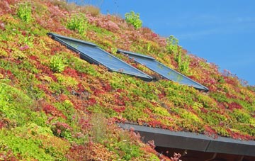 Fishtoft living roof systems